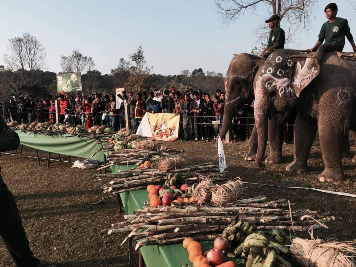 Hotel Chitwan Park Village ソーラハ エクステリア 写真