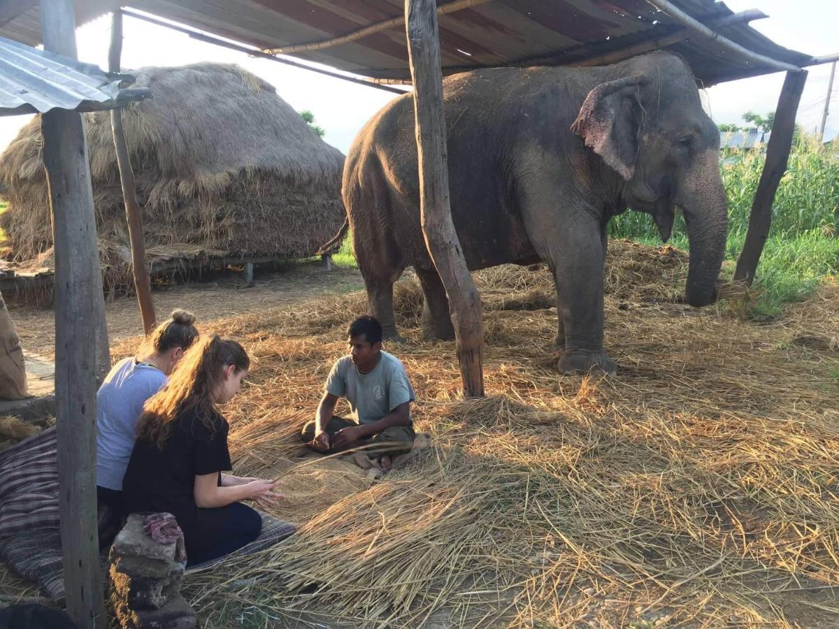 Hotel Chitwan Park Village ソーラハ エクステリア 写真
