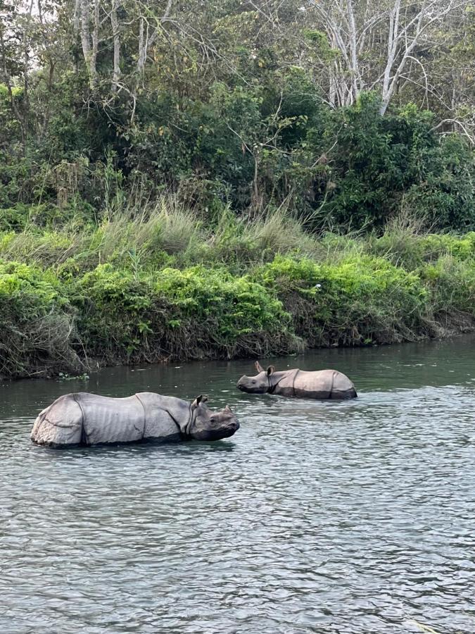 Hotel Chitwan Park Village ソーラハ エクステリア 写真